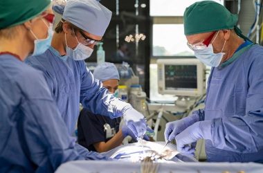 Operating theatre view of a hernia surgery procedure with monitors and full surgical team