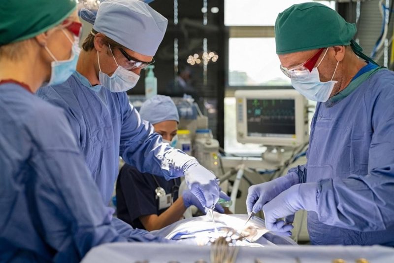 Operating theatre view of a hernia surgery procedure with monitors and full surgical team